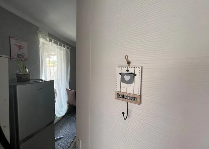 招待所 Szarkafeszek