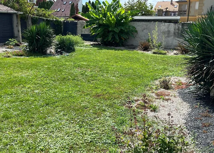 Szarkafeszek 招待所