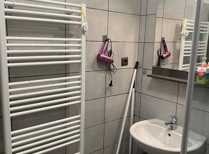 Szarkafeszek 招待所 4*